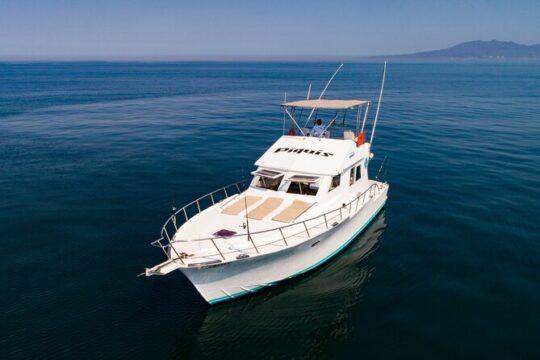 Custom 46' Boat in Puerto & Nuevo Vallarta