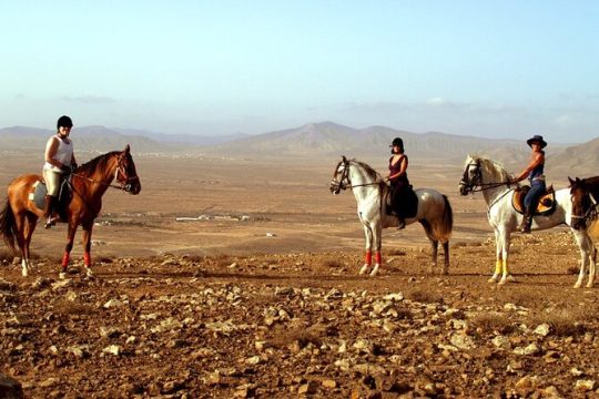 Horseback Riding in Fuerteventura for 1 or 2 hours, Spain