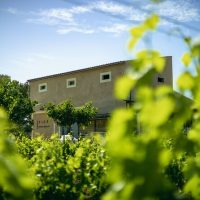 Wine Tasting & Winery Tours