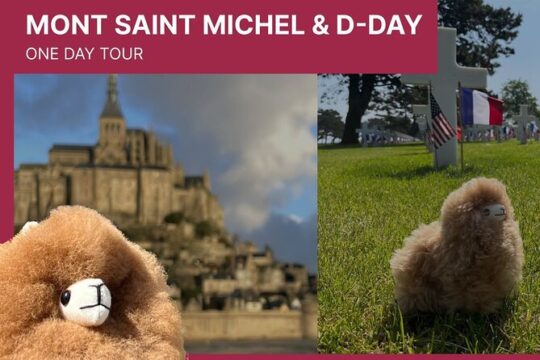 Private Guided Mont Saint Michel & D-day tour from Paris