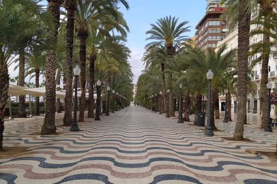 Alicante Highlights Private Tour with Castle