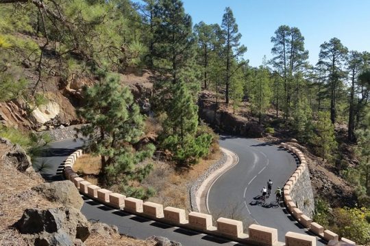 Road Cycling Tenerife - Teide Route