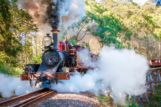 [PRIVATE TOUR] Puffing Billy and Dandenong Mountains