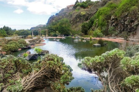 Las Palmas Bandama Crater and Botanic Garden Tour