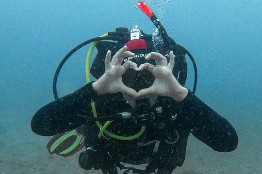 Scuba Diving try dive in Fuerteventura