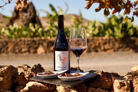 Winery and Chocolate Tasting Experience in Fuerteventura