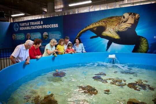 Cairns Aquarium General Admission and Turtle Hospital Tour