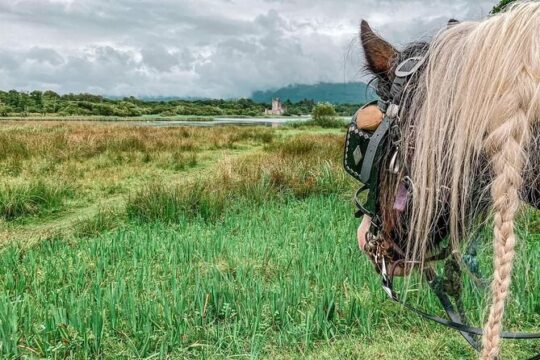 Killarney Jaunting Car Tour