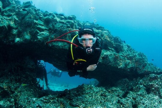 Single Scuba Try-Dive in Puerto del Carmen - small groups - 2 hours