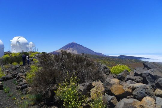 Astronomic Small-Group Tour on Tenerife Teide Observatory