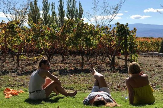Rioja Wineries and Laguardia Tour with Picnic from San Sebastian