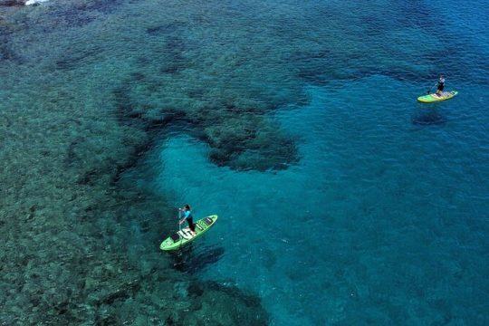SUP Standup Paddling and Snorkeling Shared Experience