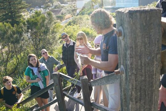 Northern Beaches Surf and Indigenous Guided Tour