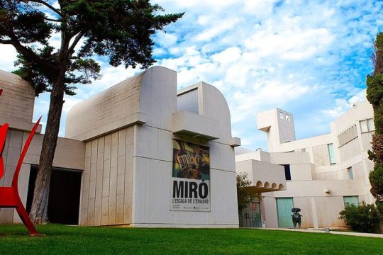 Barcelona Private Family Tour : Montjuïc, Fundació Miró & Parks (all included)