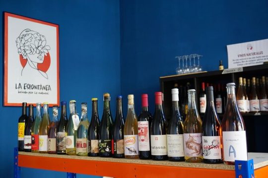 Small-Group Natural and Organic Wine Tasting near Sitges