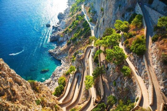 SEMI - PRIVATE: Capri boat tour with transfer by high speed train from Rome