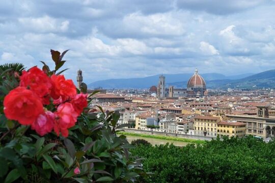 Florence Private Day Tour from Rome