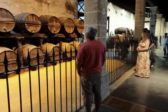 Jerez Winery Tour and wine tasting