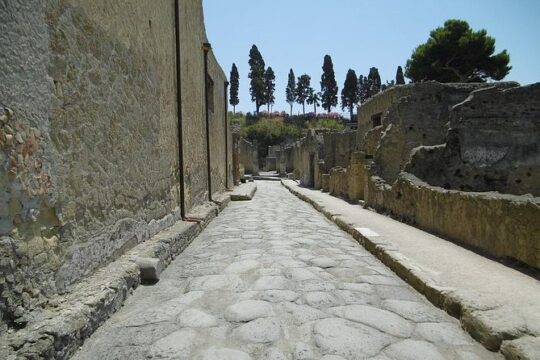Herculaneum and the Archeological Museum of Naples Private Tour from Rome