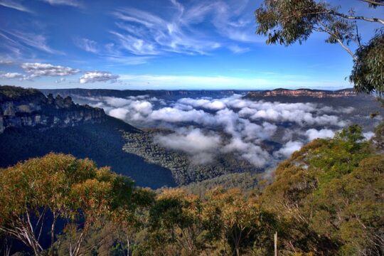 Unforgettable Blue Mountains Day Tour