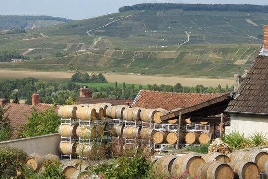 Private wine tour to Champagne region from Paris