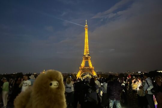 Private Paris City Night Sightseeing Tour - Sparkle Eiffel Tower