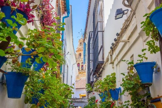 Excursion to Córdoba from Malaga