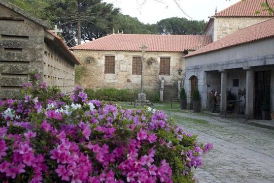 Albariño Private Wine Tour in Rias Baixas