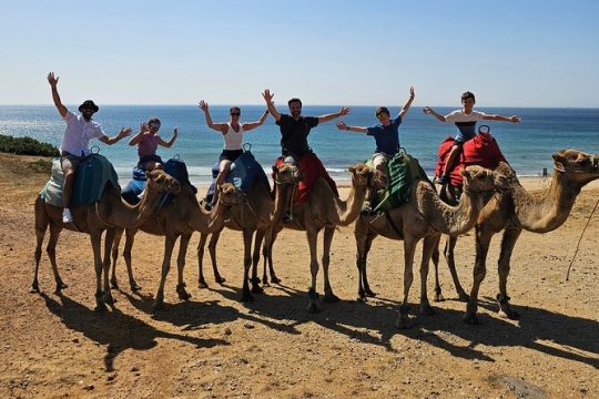 Private Tour: Day through Gibraltar and Morocco, Tangier from Seville