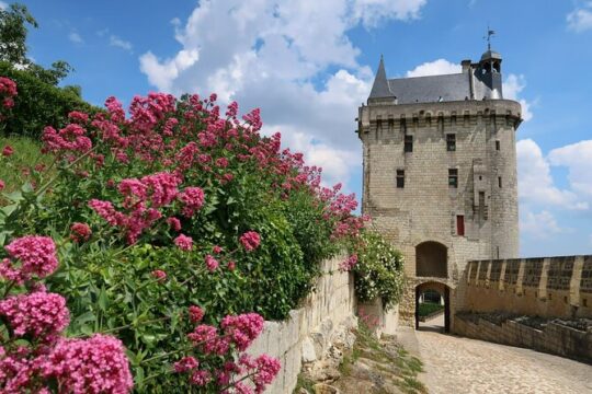 Loire Valley Wine Region: Private Full Day Tour from Tours