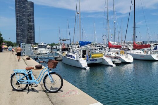 1 Hour E-Bike Tour Of The Chicago Lakefront And Nearby Landmarks