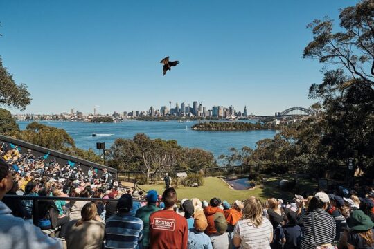 Sydney Taronga Zoo's Aussie Backyard Adventure Tour