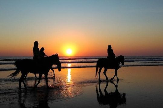 Horseback Riding in the sunset of Famara Beach, Lanzarote, Spain