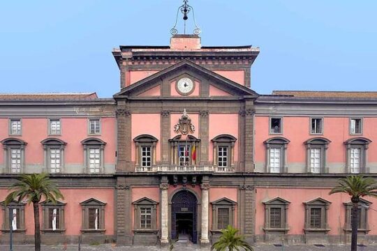 Naples Museums: Archeological and Capodimonte Private Tour from Rome