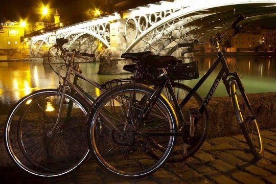 Highlights Bike Tour in Seville