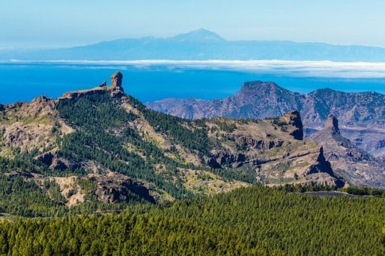 Guided tour: Discover Gran Canaria