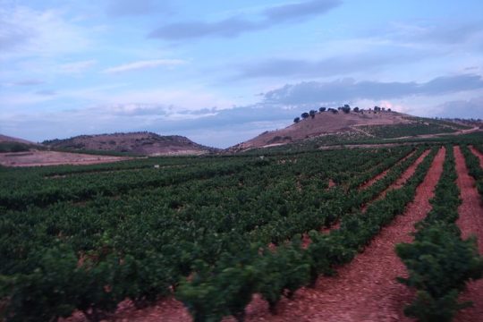 Rioja Wine Country Day Trip