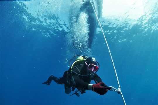 Gran Canaria 3 days / 6 dives in Various Locations