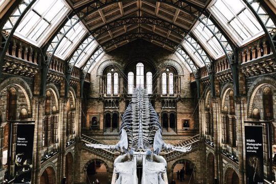 The Natural History Museum London Guided Tour - Semi-Private 8ppl Max