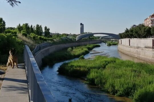 Manzanares River’s Story: A Self-Guided Audio Tour in Madrid