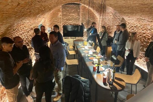 Gourmet Tasting of Iberian Ham Oil and Wine Small Group in Madrid