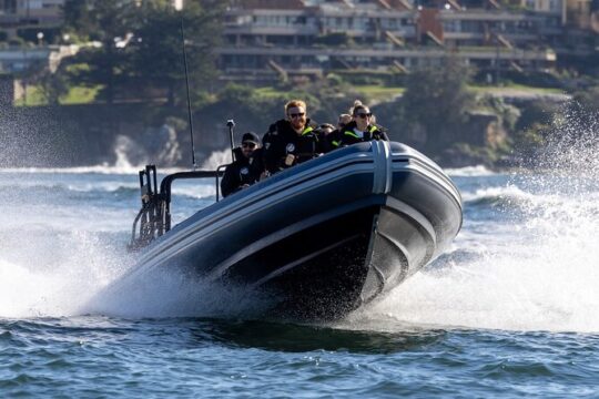 Sydney Whale Watching on Small RIB