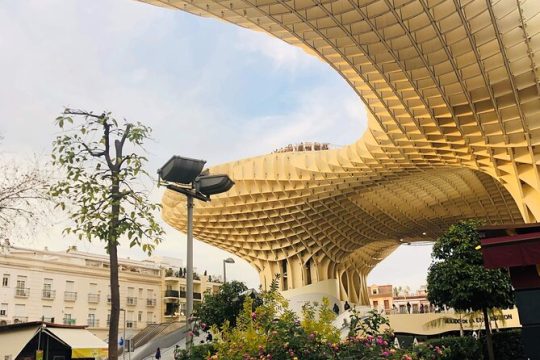 Family Friendly Private tour of Seville