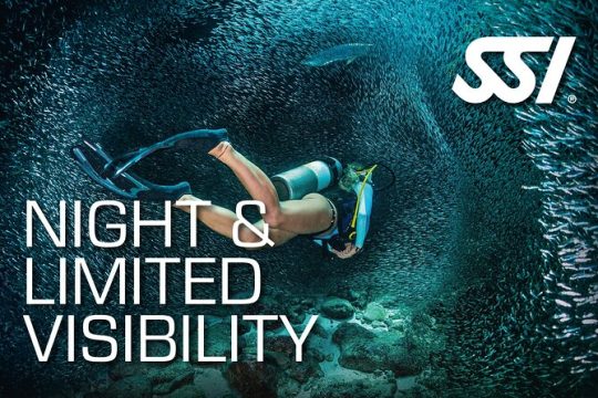 SSI Night Dive Specialty in Tenerife