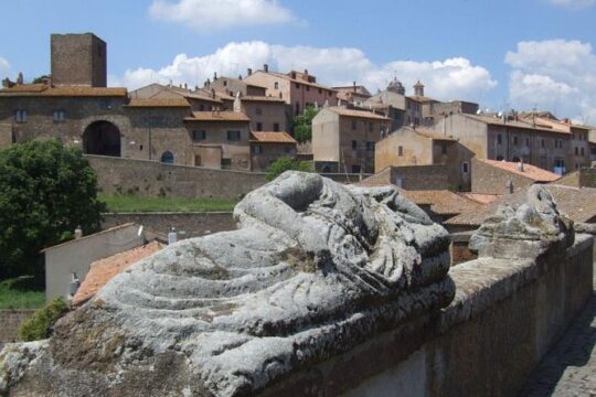 Etruscan Mystery with Driver - Private Tour from your Accommodation in Rome