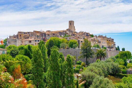 Provencal market, Wine tasting & Countryside Private Tour