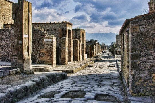 Pompeii and Herculaneum Private Day Tour from Rome