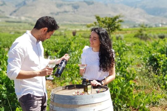 Almería Wine tour and tasting in English in Bio Winery