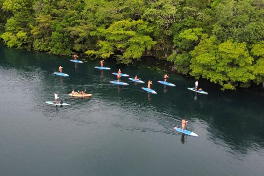 Paddle at Dawn with visit to Cenotes and Islands