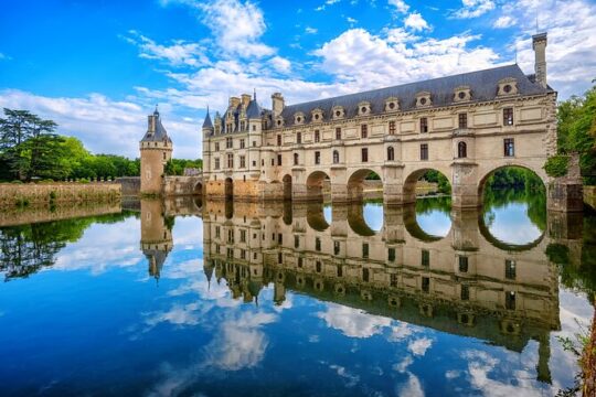 Half Day Private Trip Chenonceau Loire Valley Castle